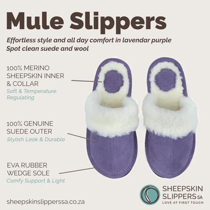 Mule | Lavender | Suede | Wool Collar