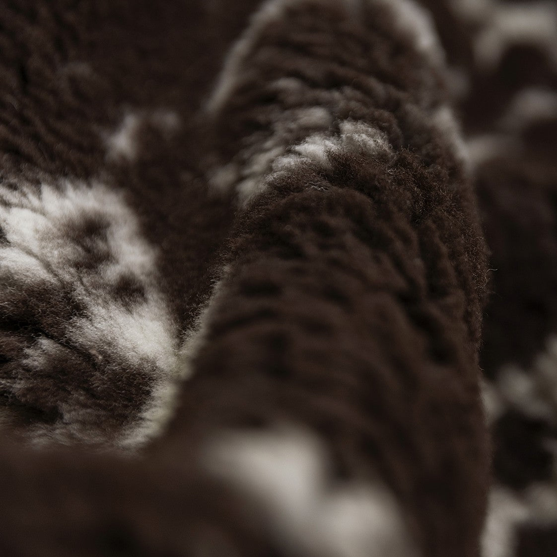 Cross-Breed Sheepskin | Brown With Natural Speckles